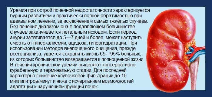 Почечная недостаточность симптомы и как лечить Почечная недостаточность симптомы и как лечить