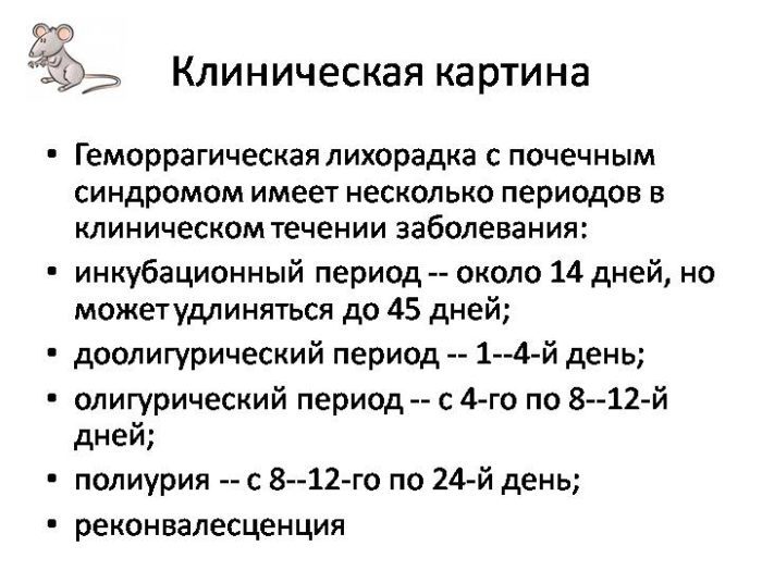 Одним из тяжелых вирусных современных заболеваний, передающихся зоонозно (передача через животных), является геморрагическая лихорадка с почечным синдромом геморрагическая лихорадка с почечным синдромом