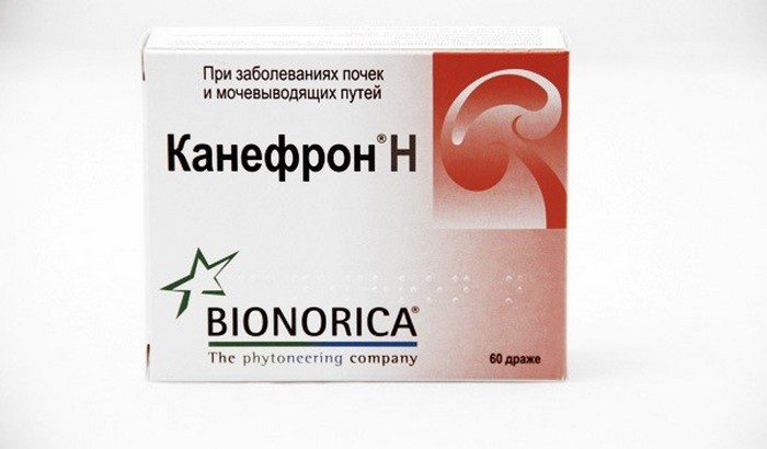 Антибактериальный эффект Канефрона-Н формируют все вместе взятые его компоненты лекарство для почек канефрон