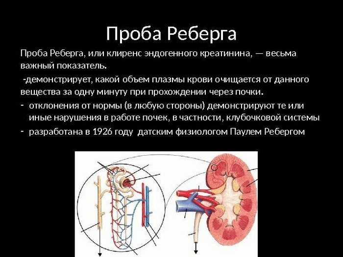 методы оценки концентрационной функции почек