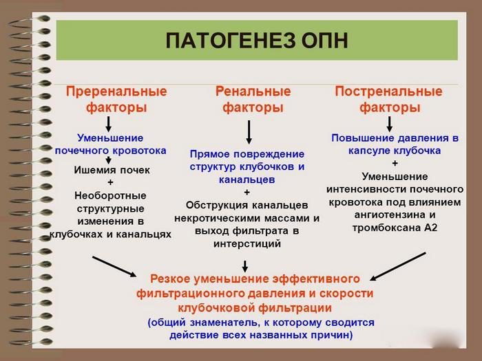 Можно ли выжить после отказа почек